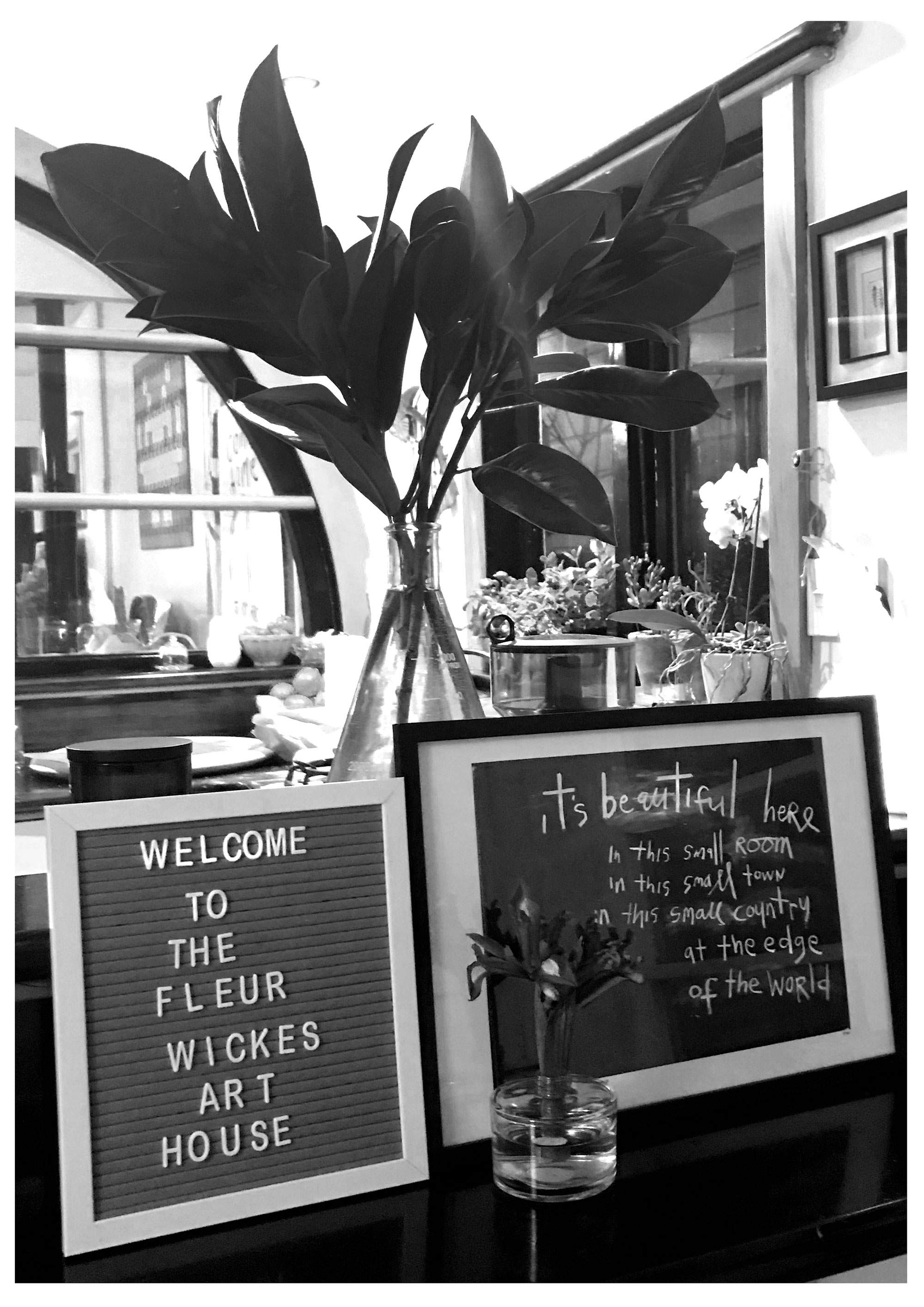 Welcome to the Fleur Wickes art house