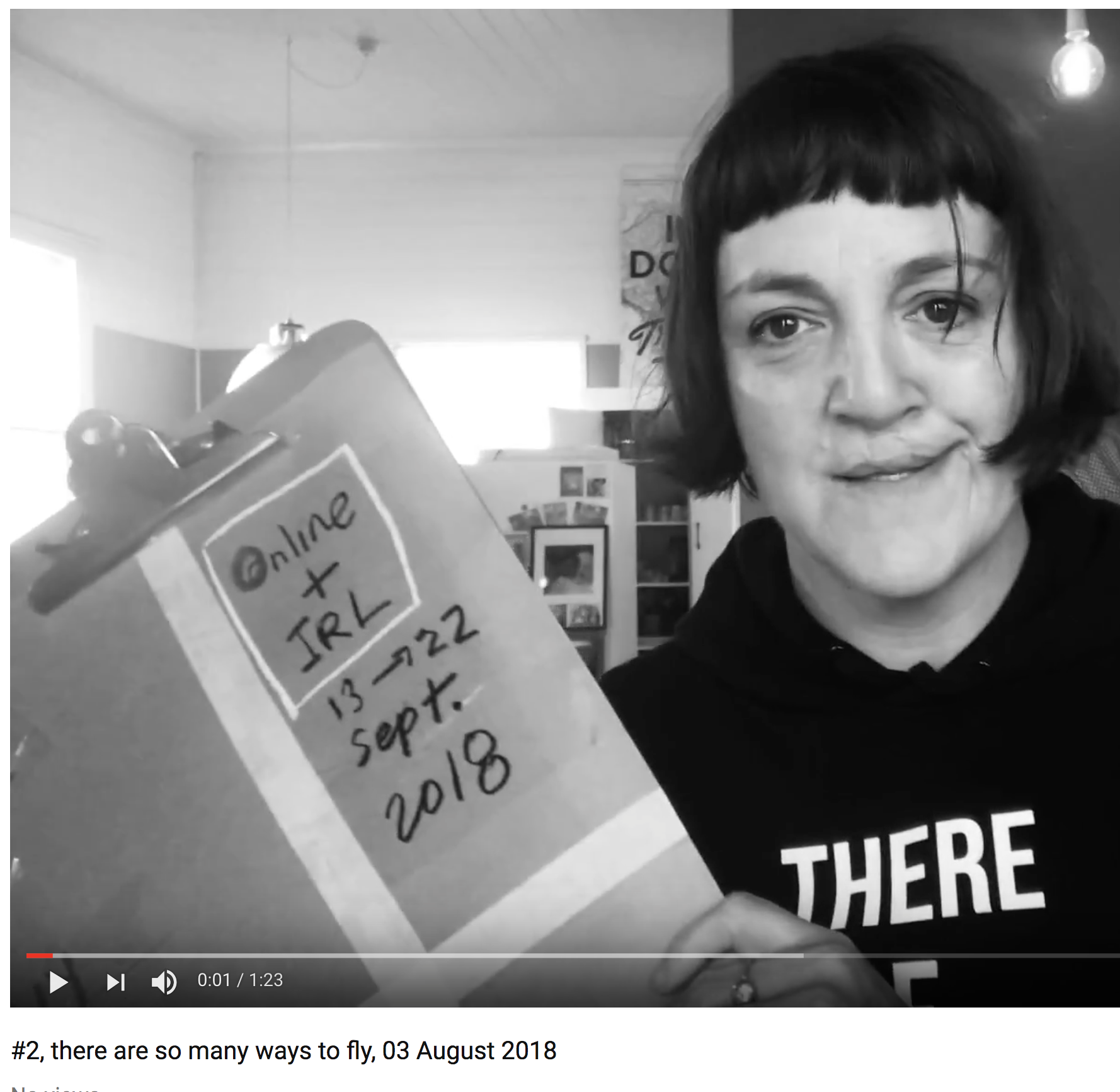 Video #2, 3 August 2018