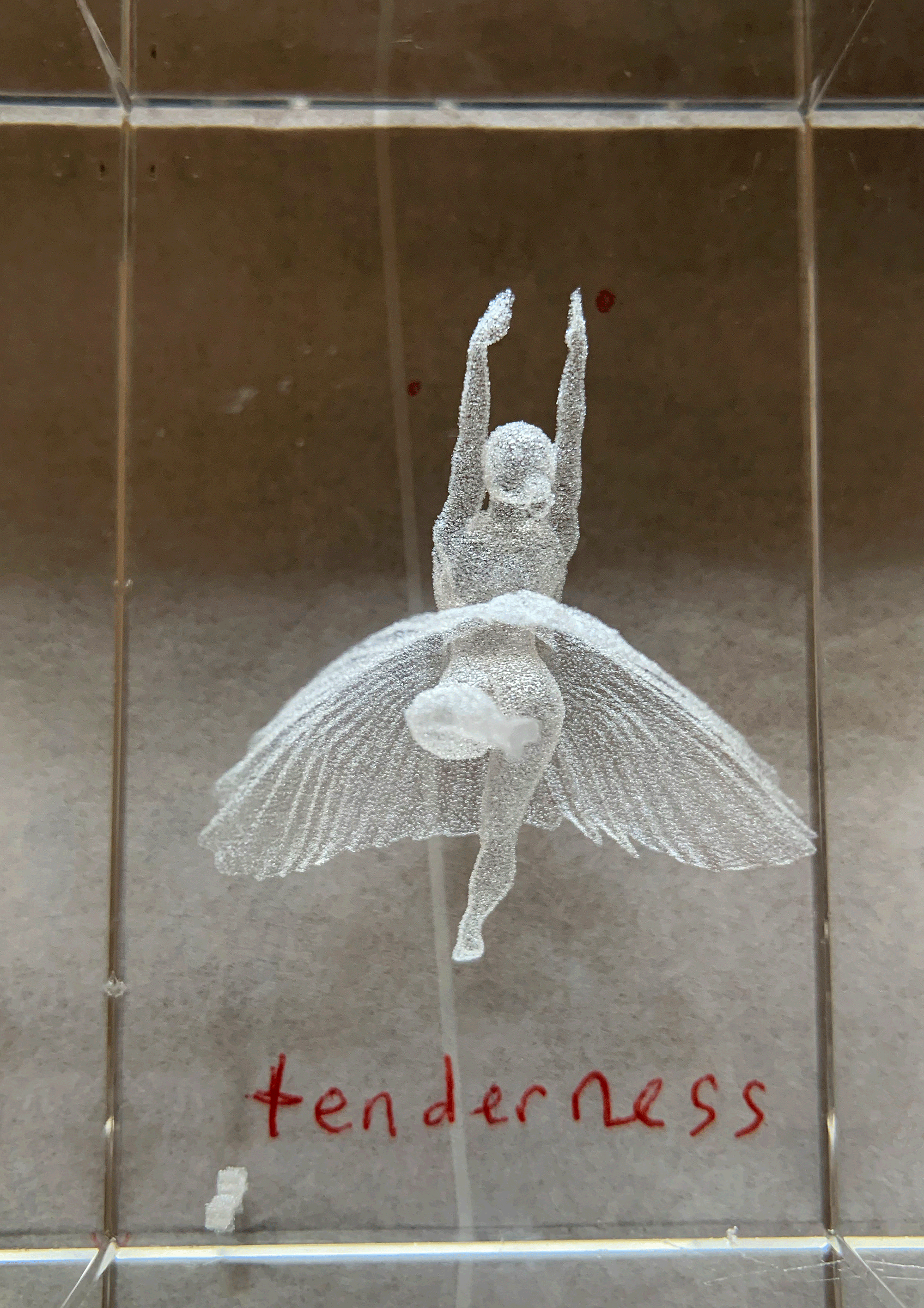 tenderness-ballerina-2019-catalogue-A4-web.gif