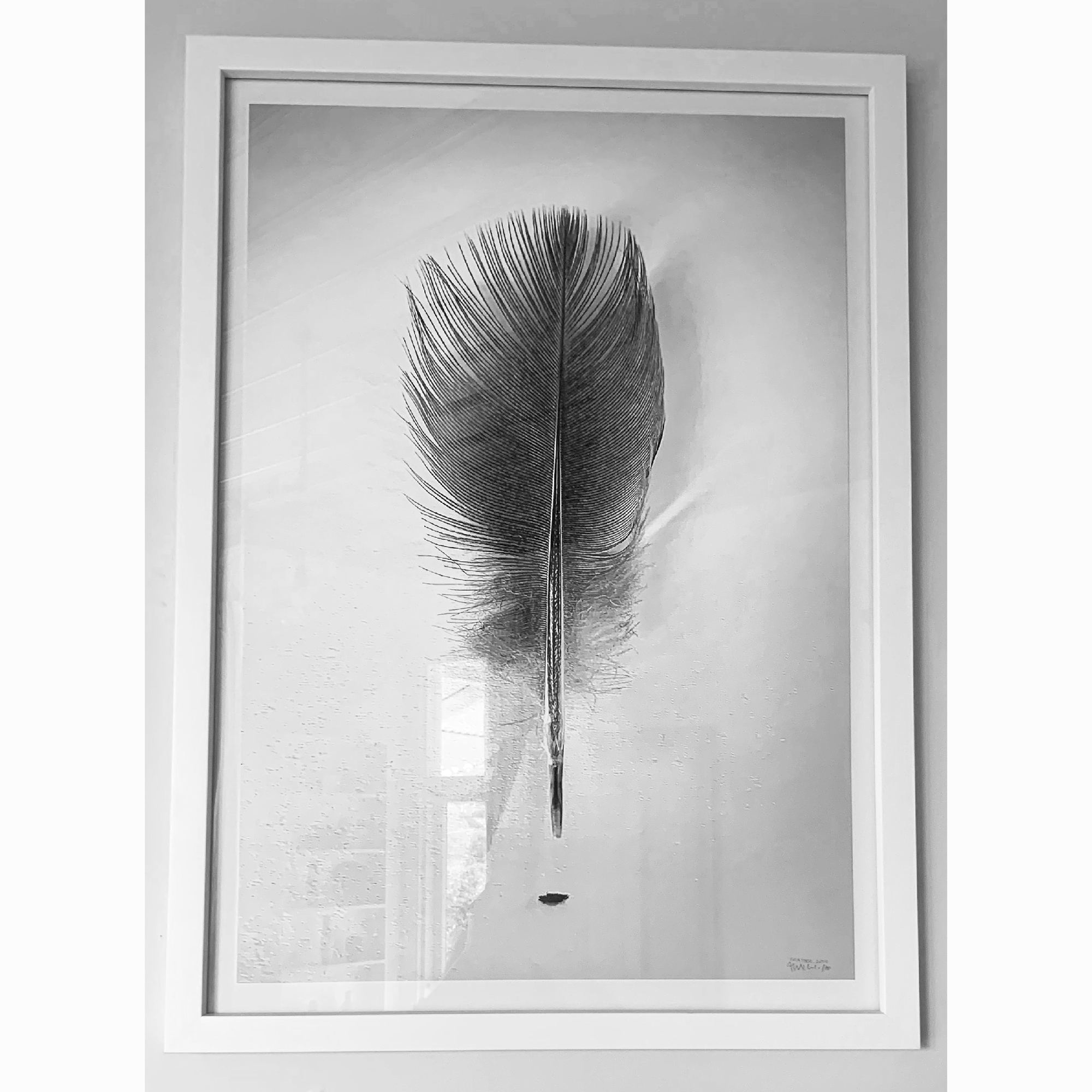 feather_2019-framed-0272-a4-web.gif