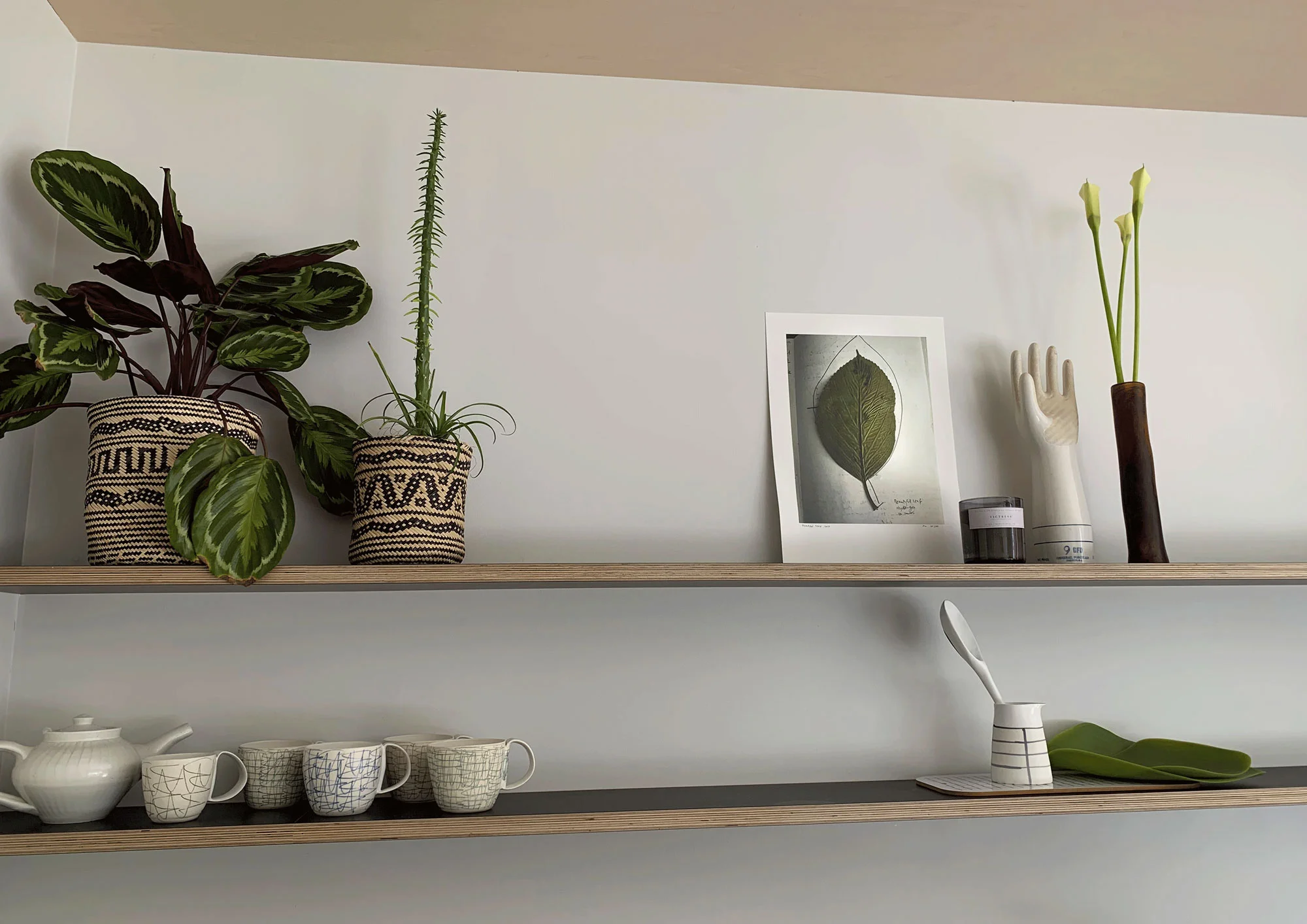 A small version of Beautiful hydrangea, 2017 sitting pretty on the gorgeous shelves of Carolyn’s kitchen