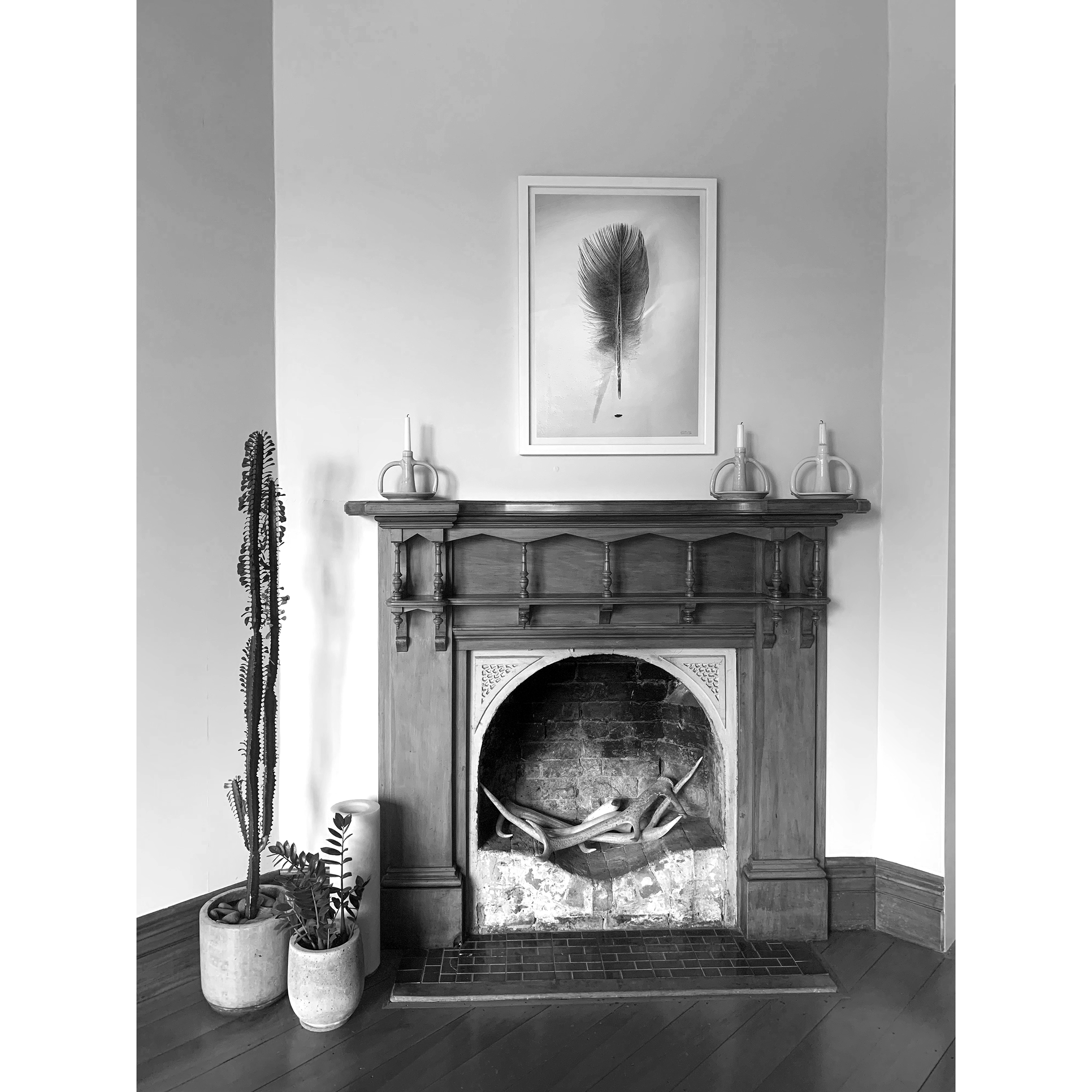 Feather, 2019 sitting gently above the mantle in the lounge.