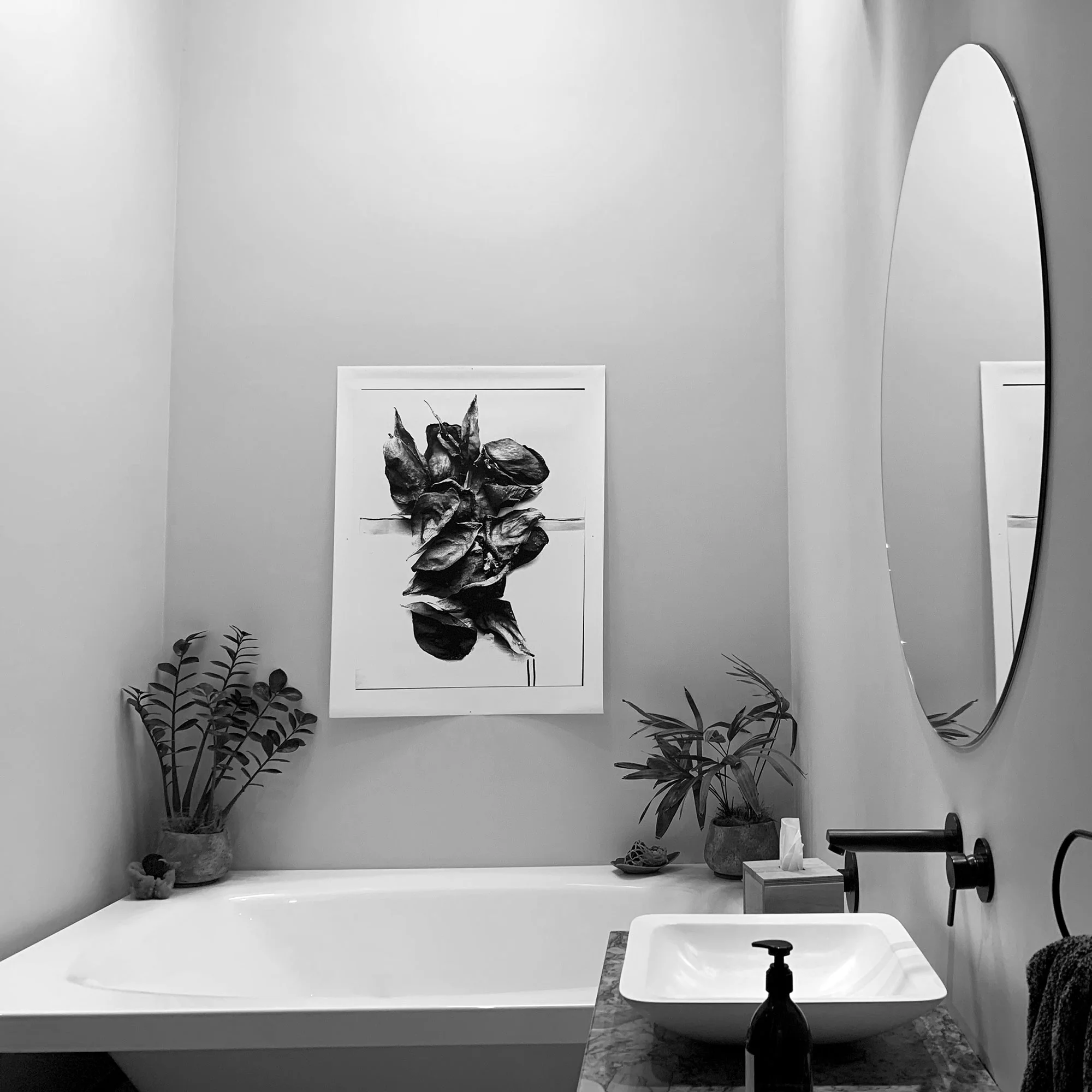A rose for you, Mum, 2019 in the family bathroom.