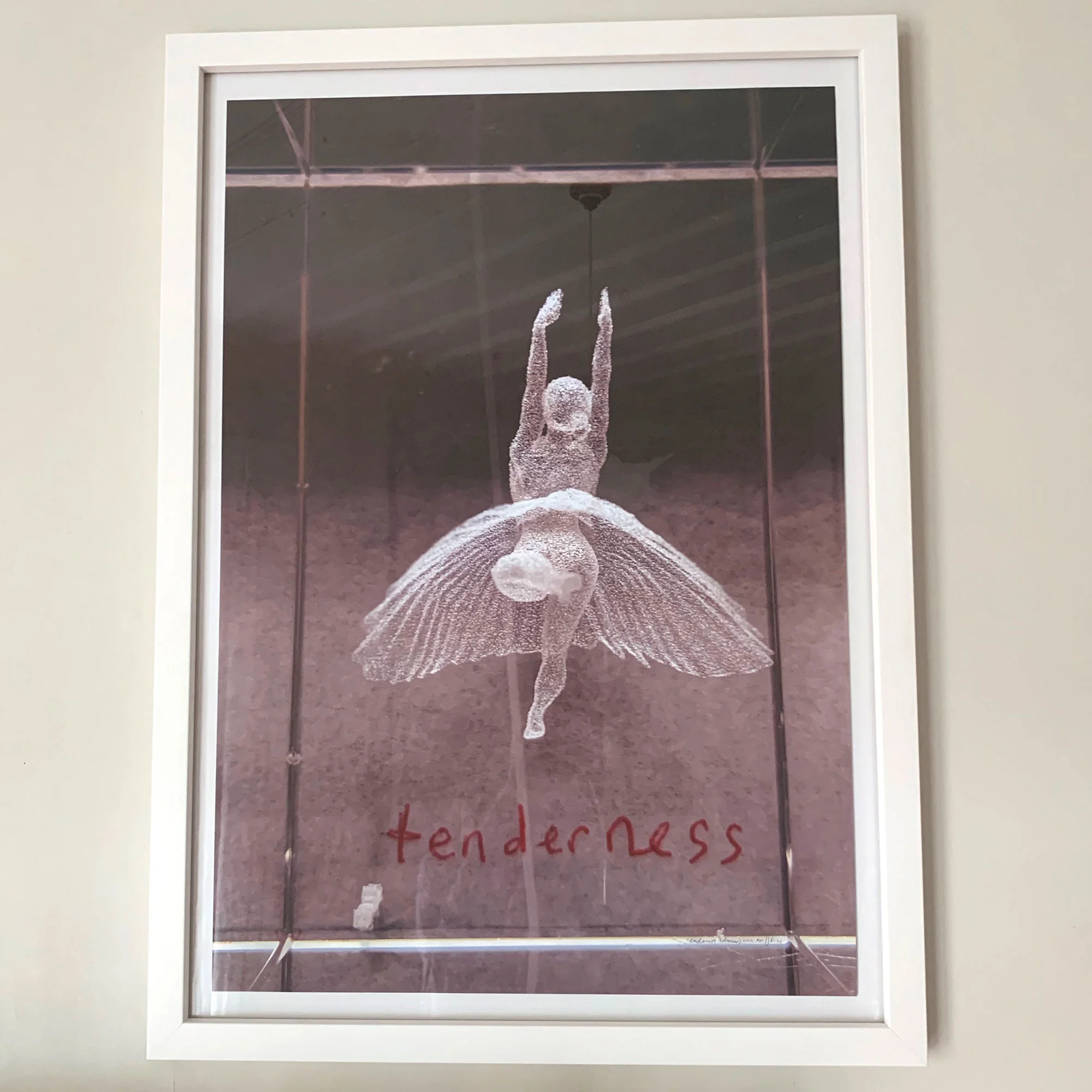 tenderness-ballerina-framed-web.jpg