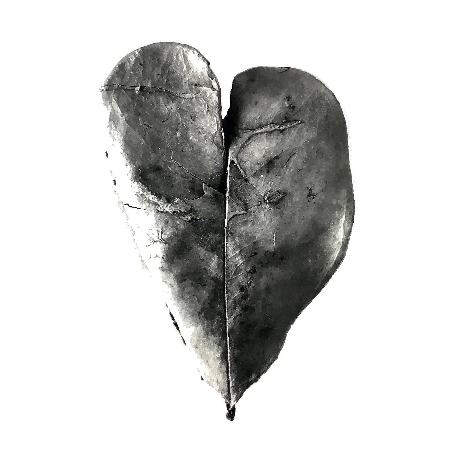 leaf_in_the_shape_of_a_heart_2017_master_55x73_web.jpg