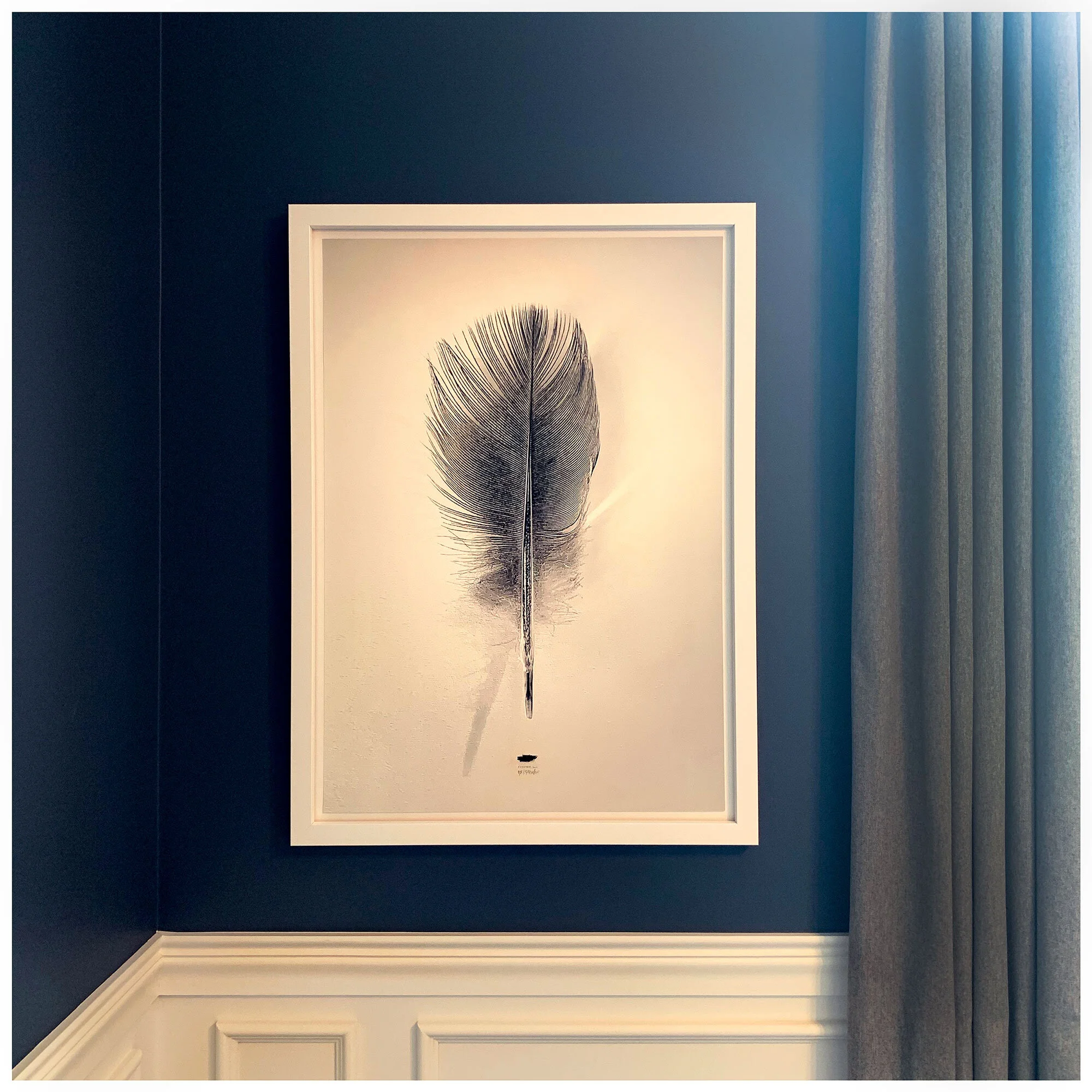 Feather, 2019