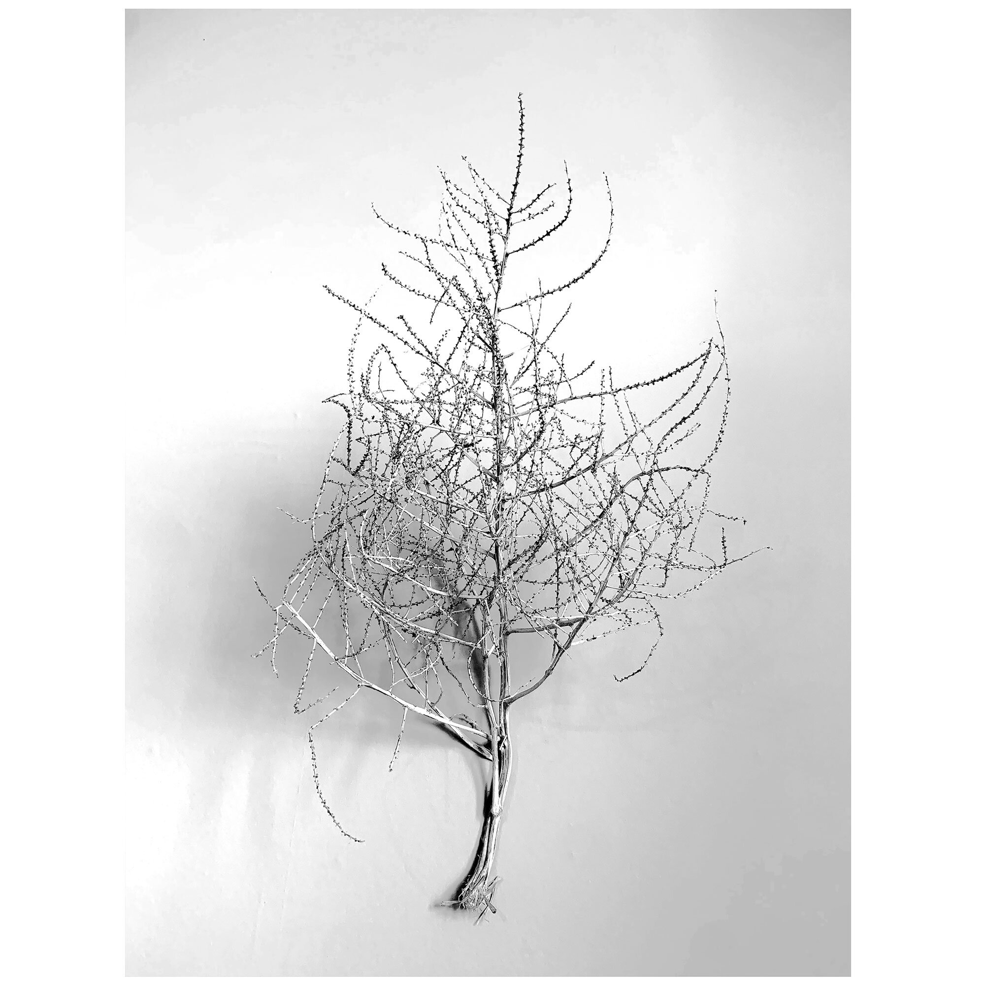2020 [branch], 2020