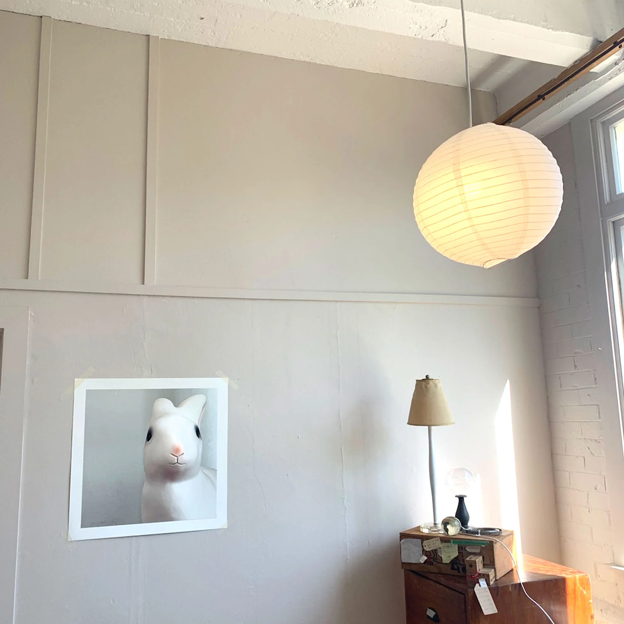 “our rabbit’ taped up in my studio