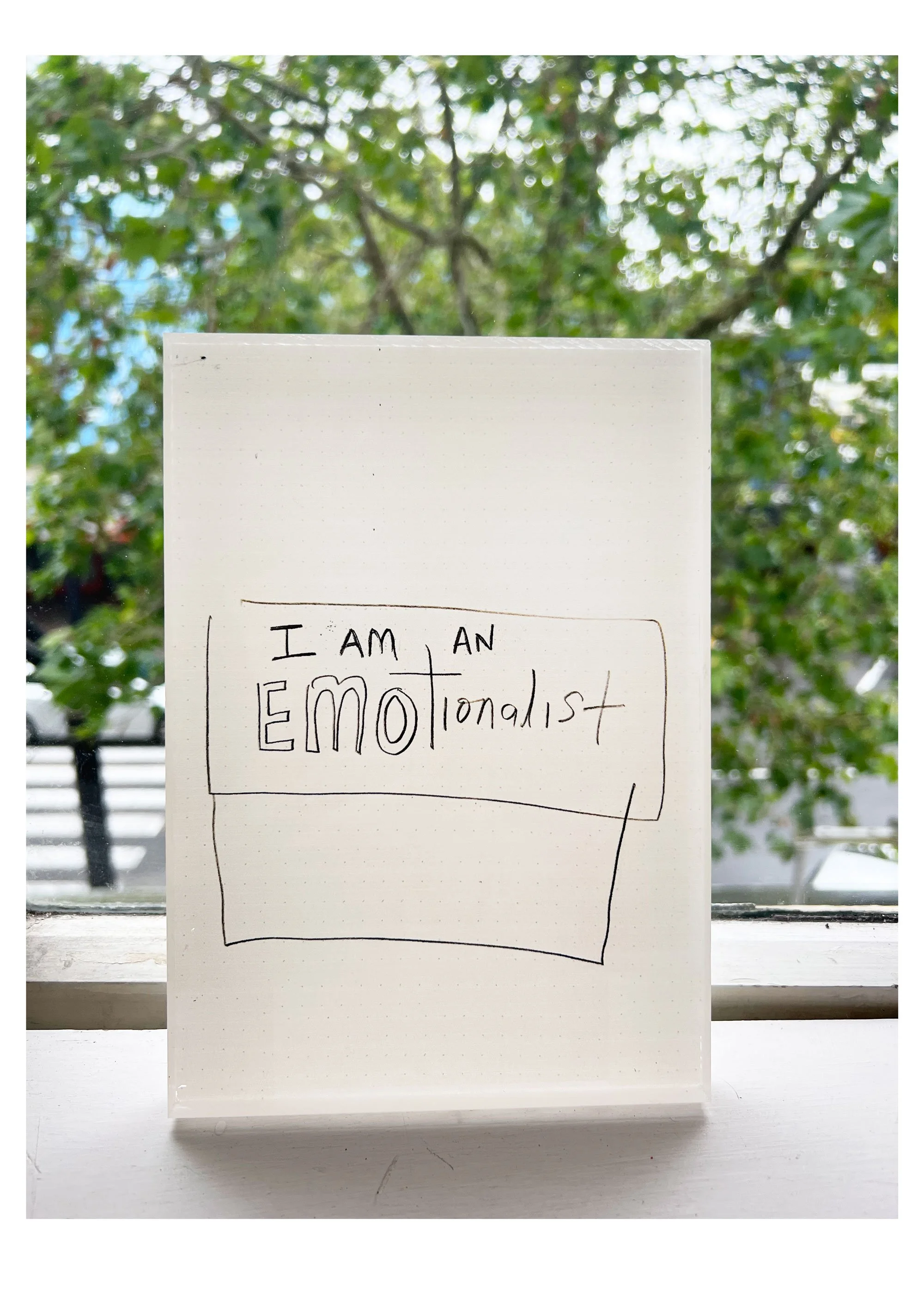 emotionalist-note-SC-acrylic-windowsill-23-web.jpg