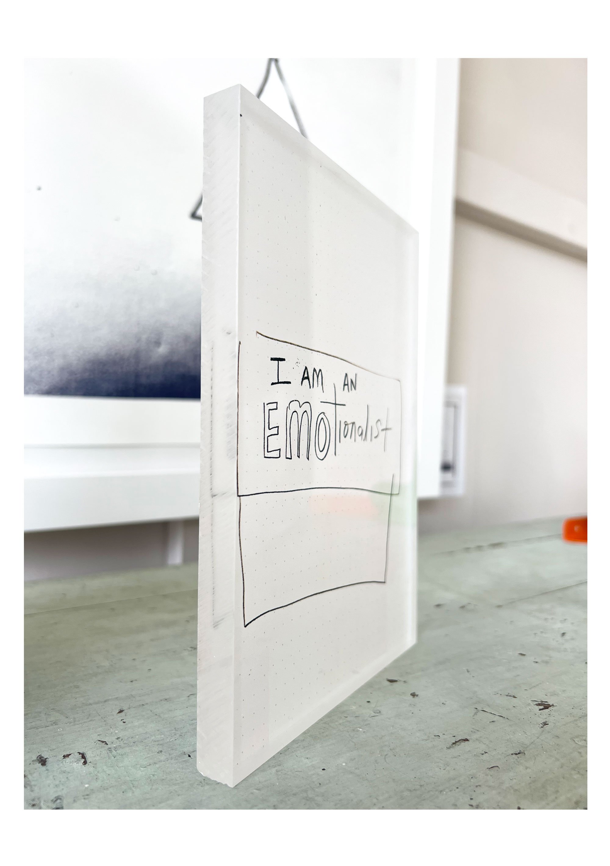 emotionalist-sideview-23-web.jpg
