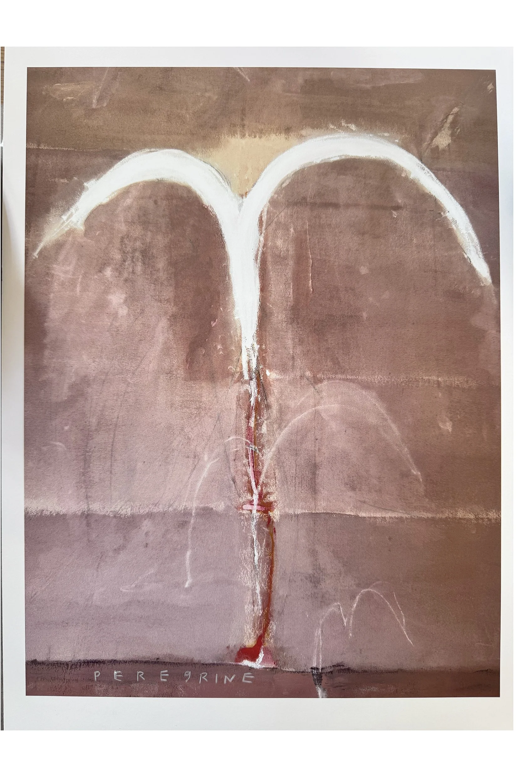 Peregrine, 2026 (Limited edition print)