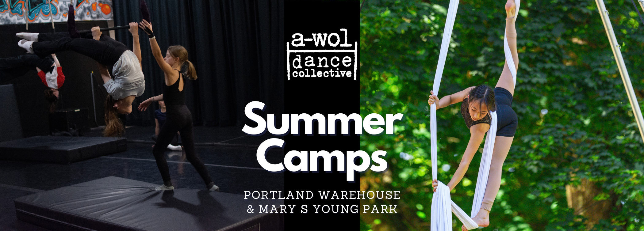 Website Banners (7).png