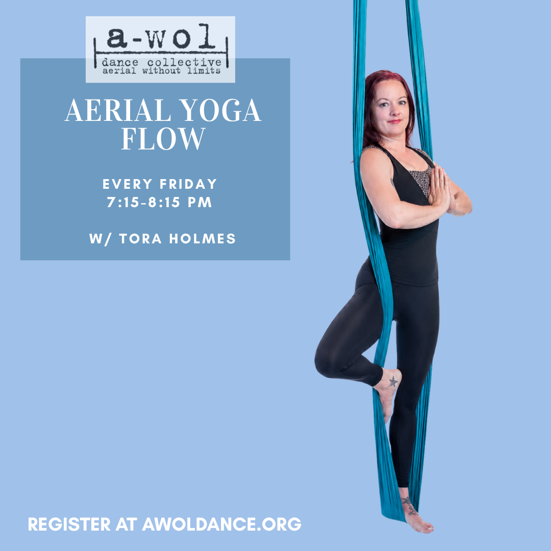 aerial Yoga.png