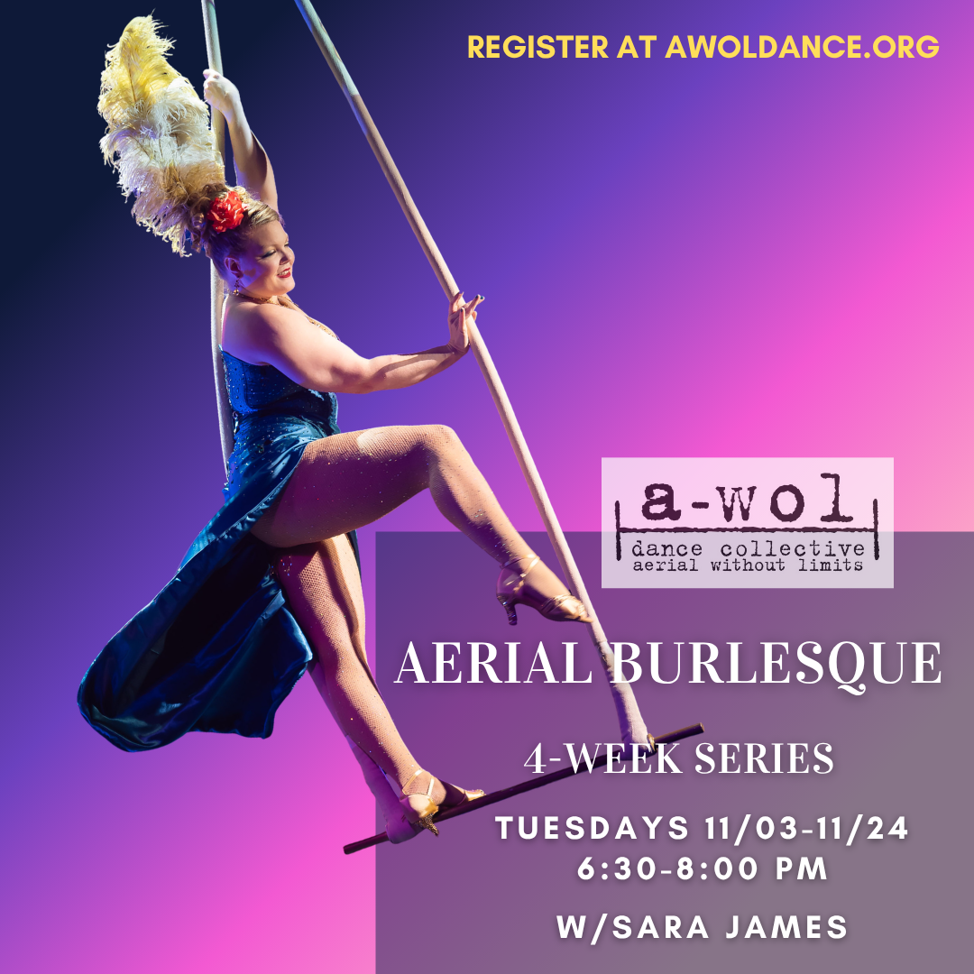 aerial burlesque.png