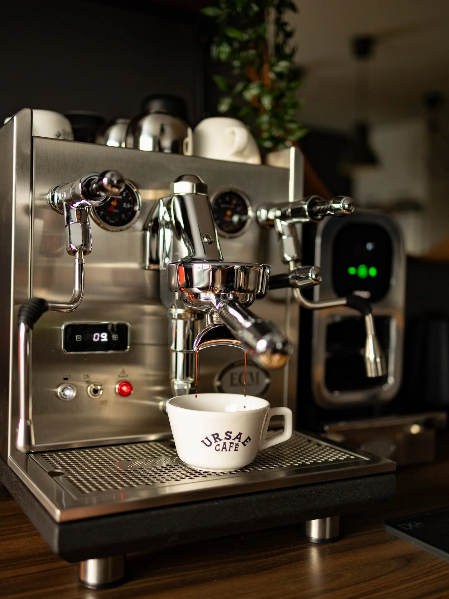 StudioAlexander_Branding_Illustration_UrsaeCafe_Coffee_Cups2.jpg