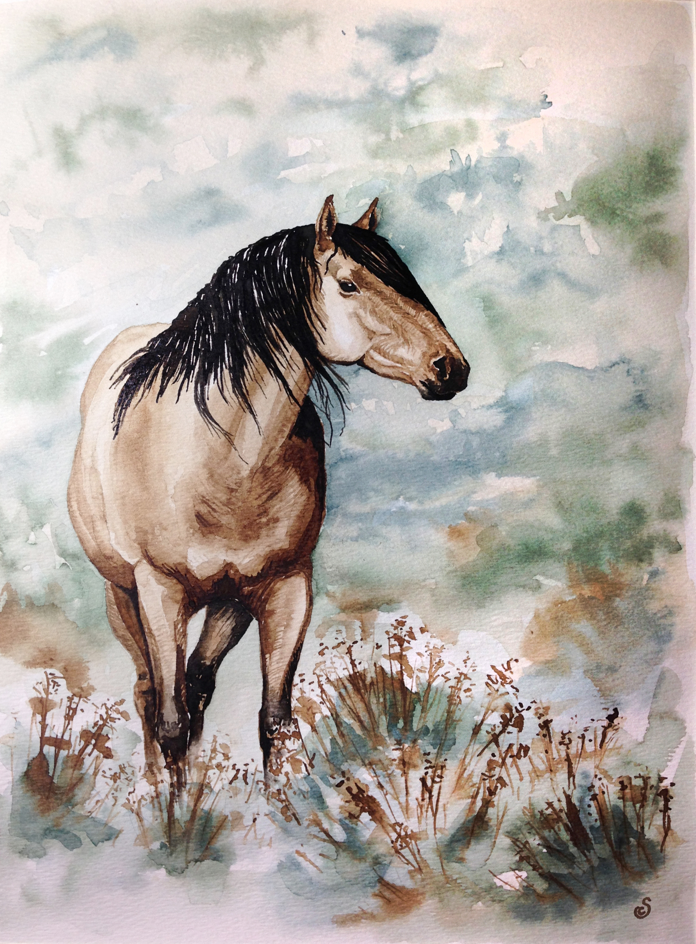 Kiger Mustang, India Ink and Watercolor on Paper