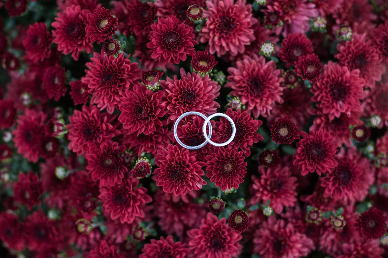 Publick House wedding venue photos in Sturbridge, MA by Kara Emily Krantz Photography featured in Bride & Groom Magazine