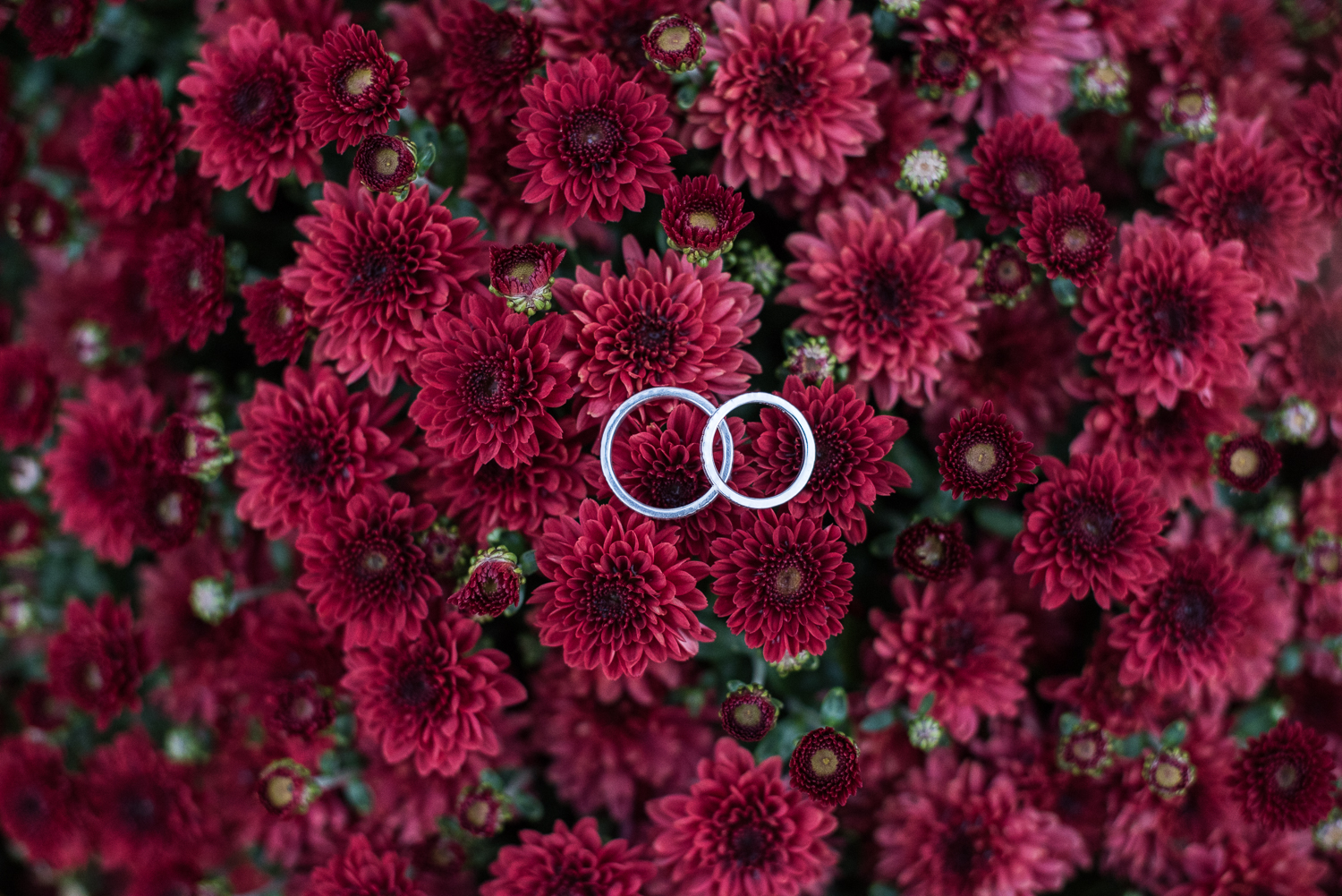 Publick House wedding venue photos in Sturbridge, MA by Kara Emily Krantz Photography featured in Bride & Groom Magazine