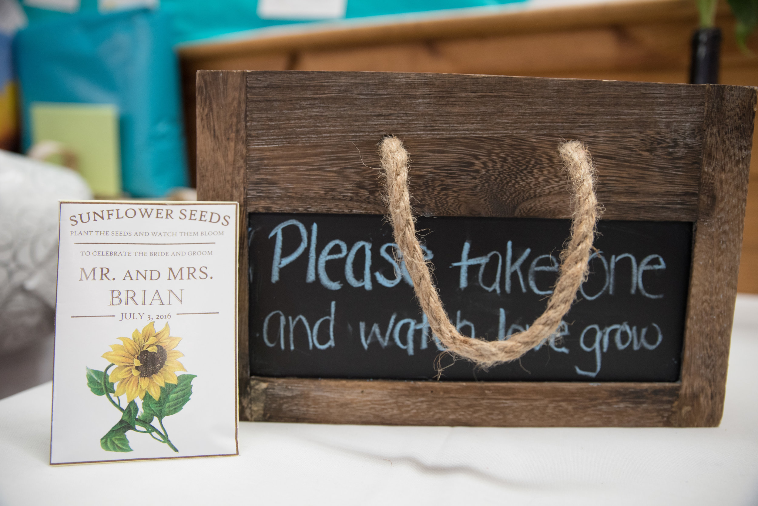 Lisa and Nate, weddings, Fall, Autumn, marriage, nature, October, Brian, Latham, wedding photography, rustic, woodsy, woods, DIY, Connecticut, Massachusetts, lake, sunflower, pond, yellow, simple, gorgeous, blue, reception