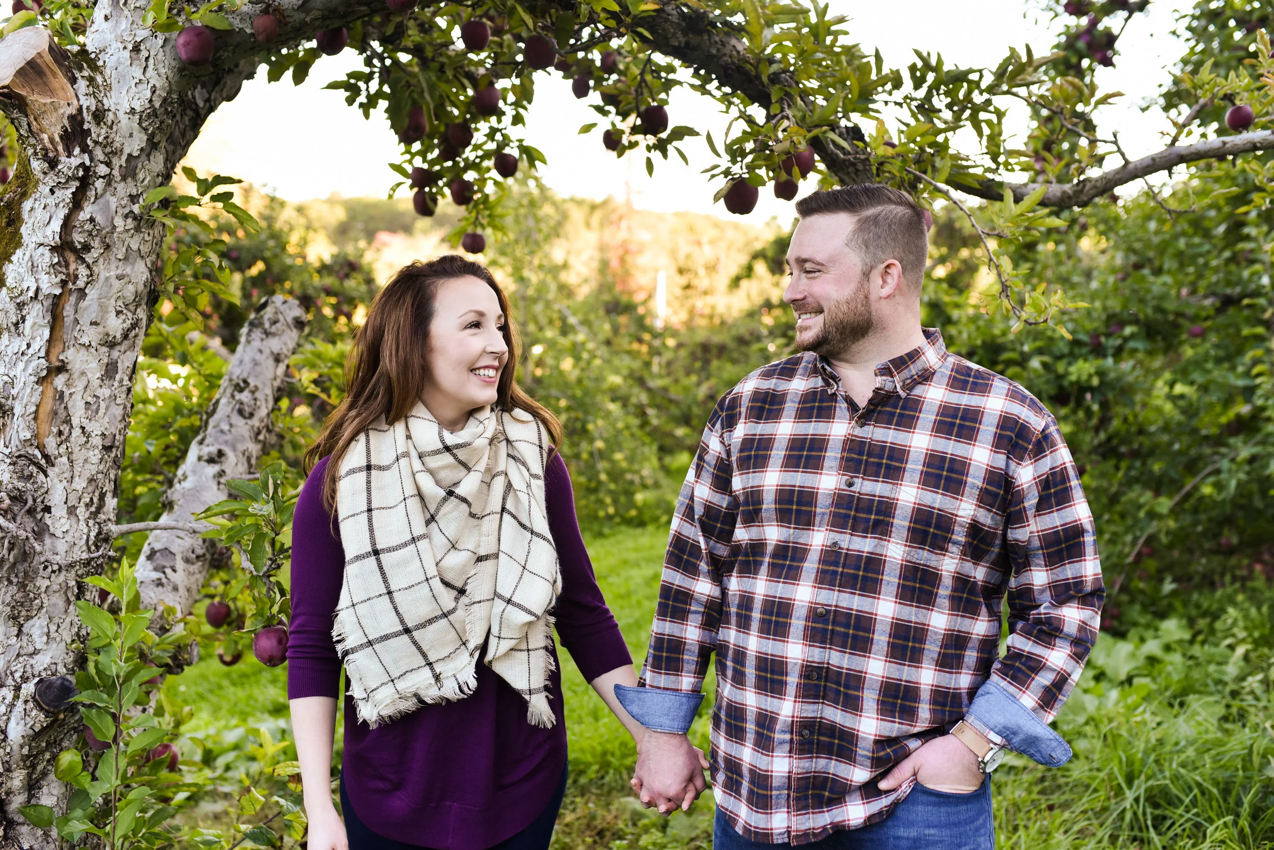Honey Pot Hill Orchard engagement photos in Stow, MA photographed by Kara Emiy Krantz Photography