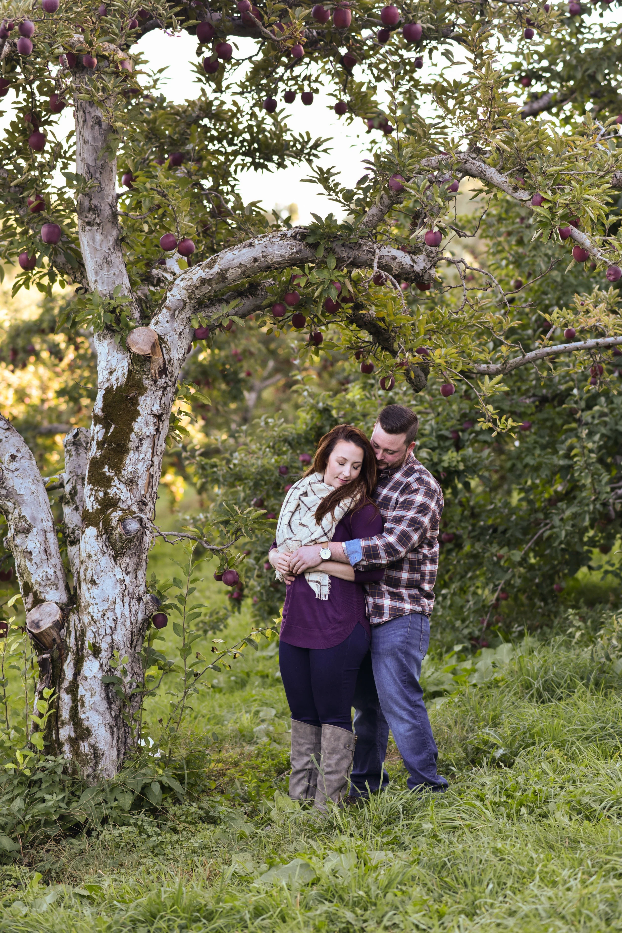 Honey Pot Hill Orchard engagement photos in Stow, MA photographed by Kara Emiy Krantz Photography
