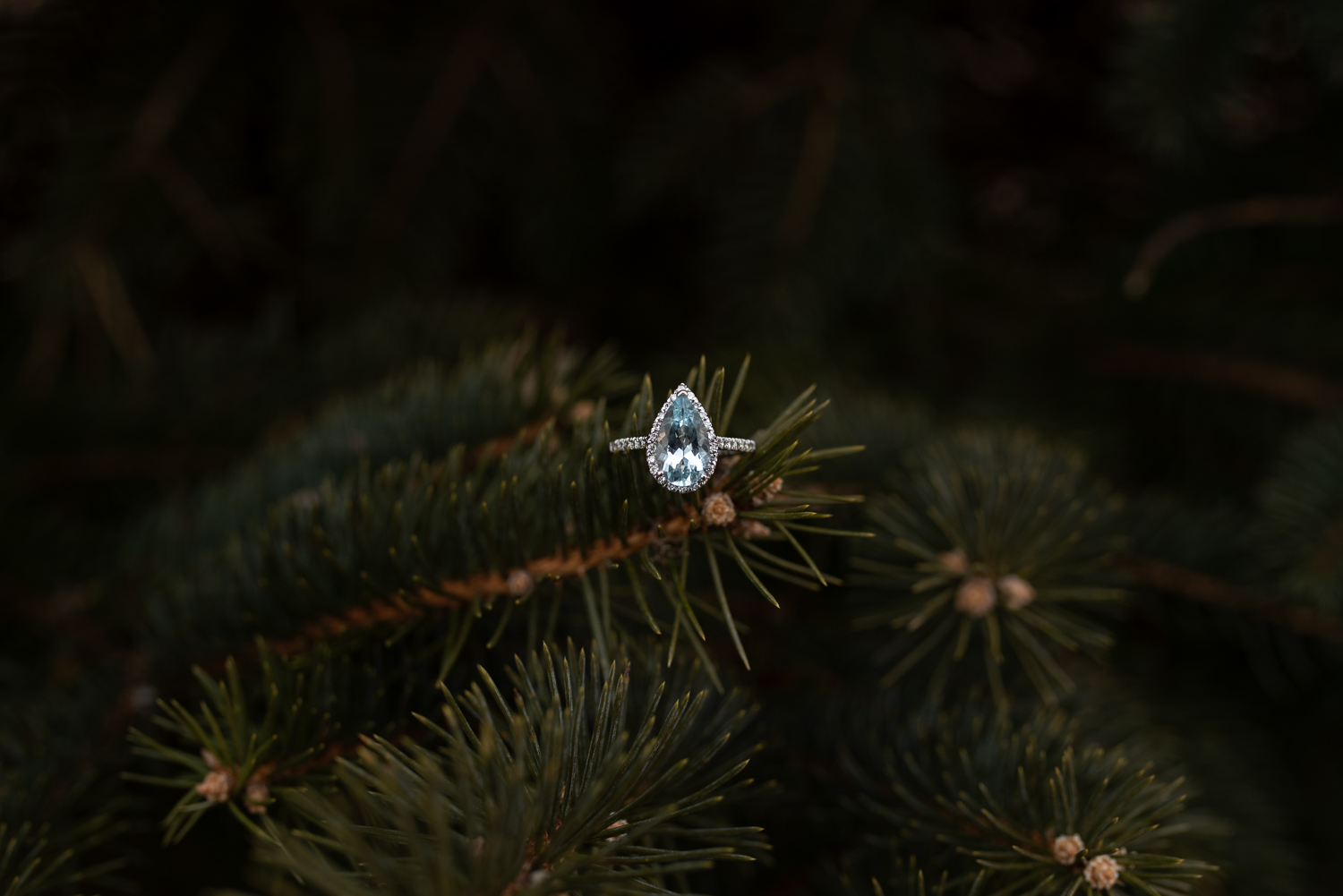 Engagement photoshoot at Morse Lumber in Southbridge, MA shot by Kara Emily Krantz Photography