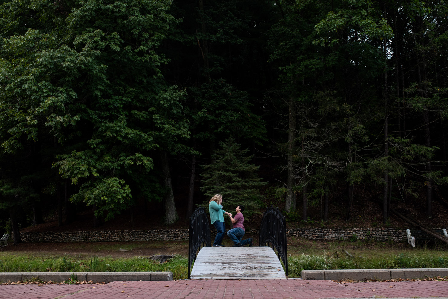 Forest State Park engagement photos in Springfield, MA photographed by Kara Emily Krantz Photography