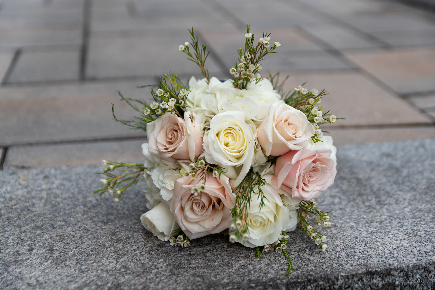 Rachel and David Married at Elm Park in Worcester, MA