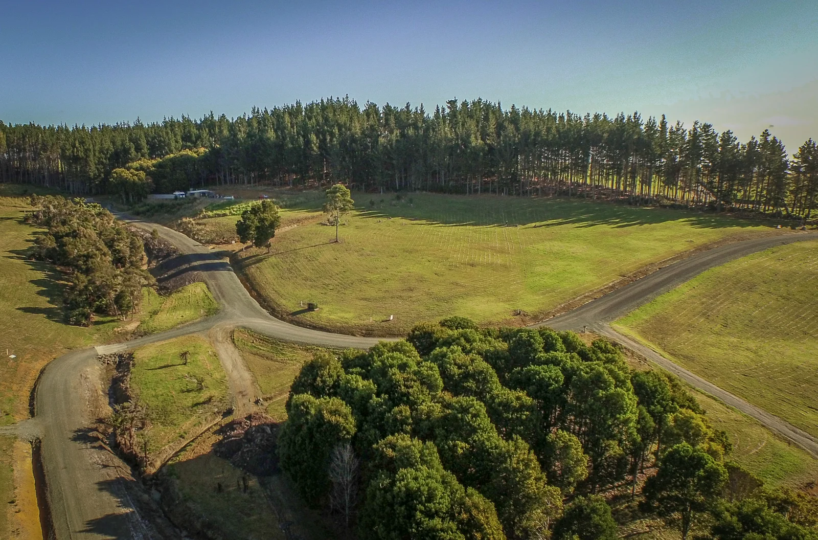 Lot 1 Kauri Grove (7 of 7).jpg