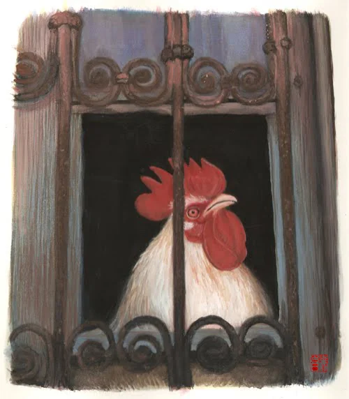Rooster