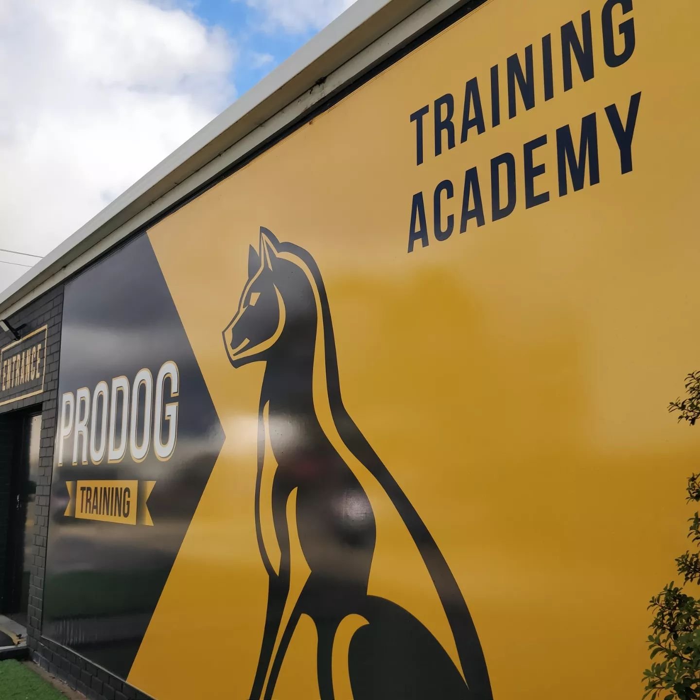 Super stoked to have joined the fine team @prodogtraining!! 
I've followed this highly skilled, professional and leading Melbourne training organisation since it began and am thrilled to be able to train, learn and grow with the staff and clients.

V