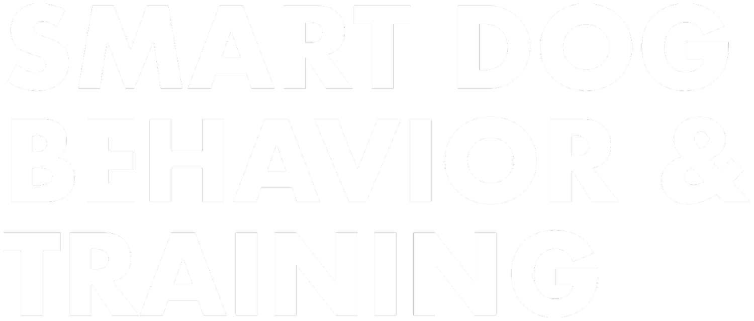 Smart Dog Behavior &amp; Training