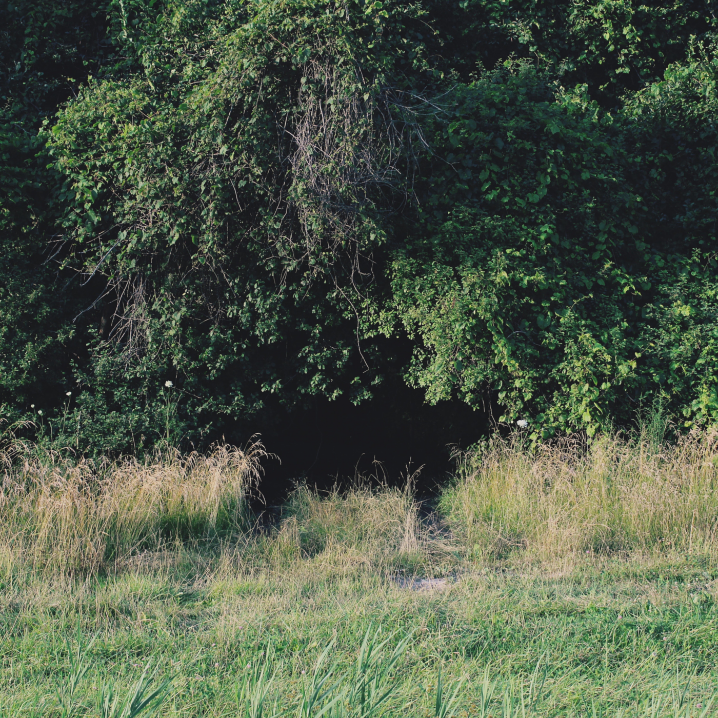 getting well no font.png