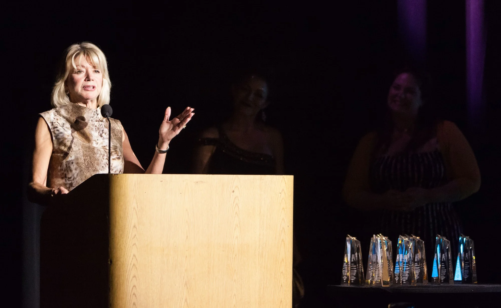 Awardee: Carolyn Elder/ Photographer Chris Arvidson