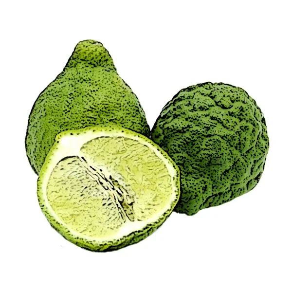 Bergamot Essential Oil