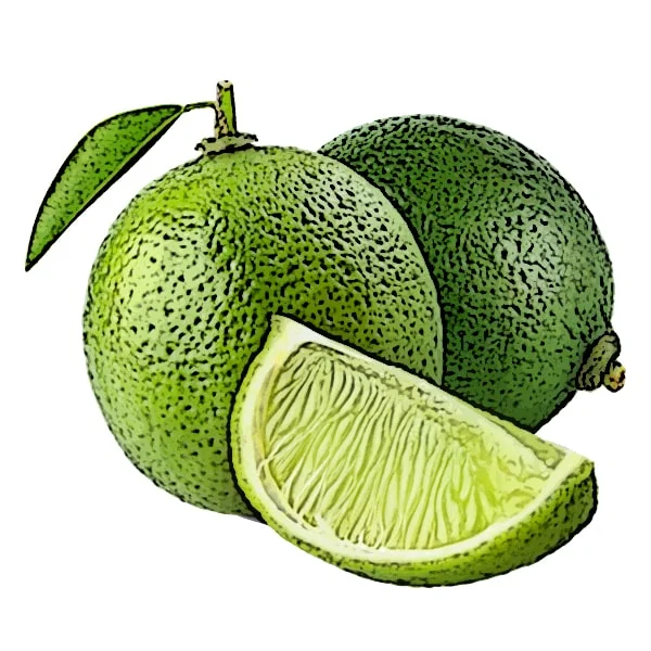 Lime Essential Oil