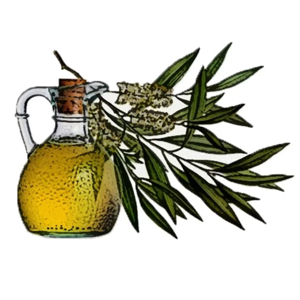 Tea Tree Essential Oil