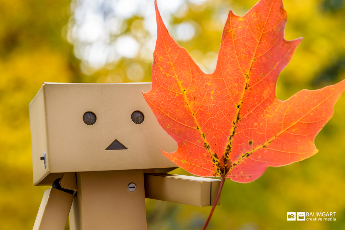 Danboard enjoying the New England fall foliage by Jeff Baumgart Creative Media
