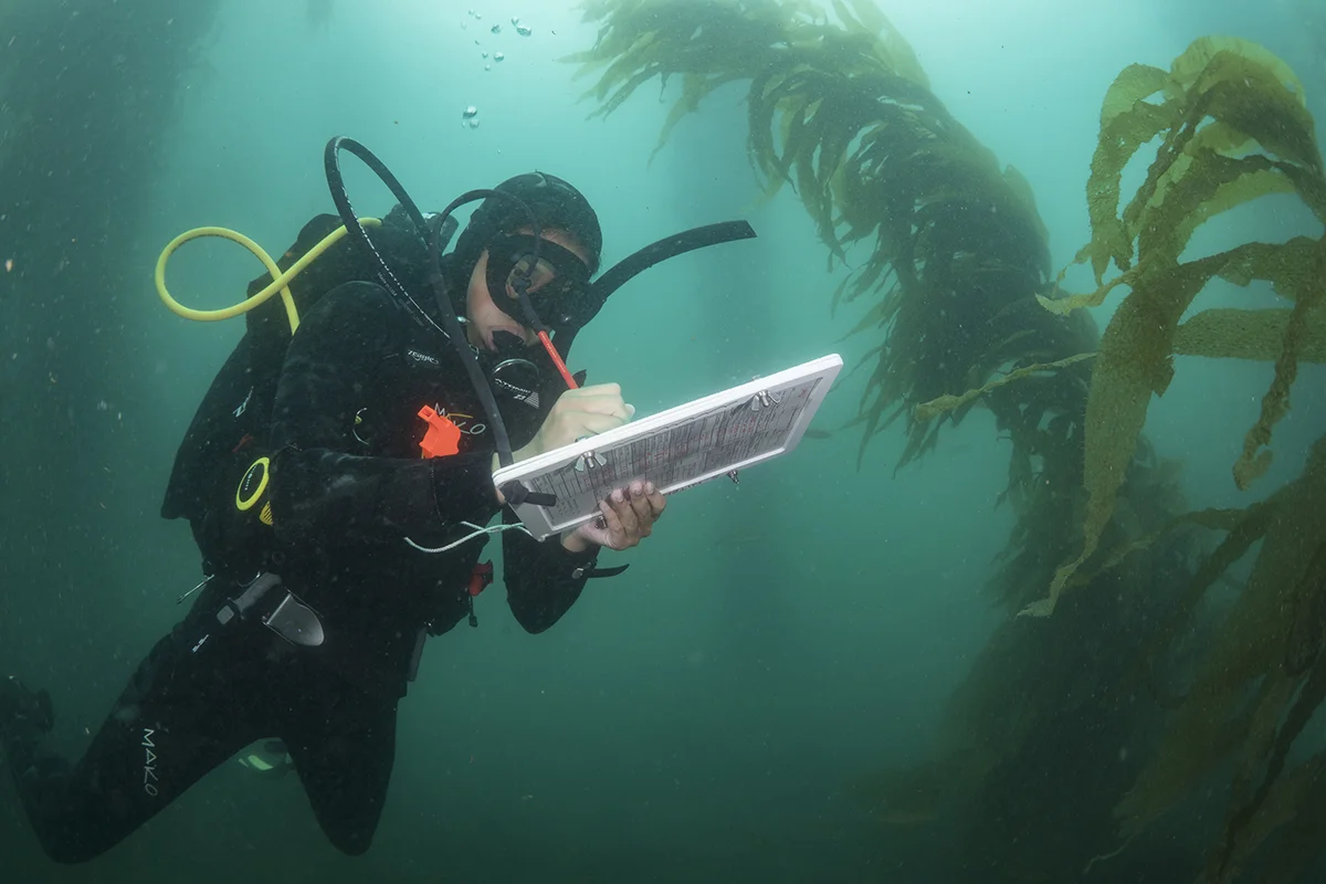 RESEARCH AND DISCOVERY CENTER