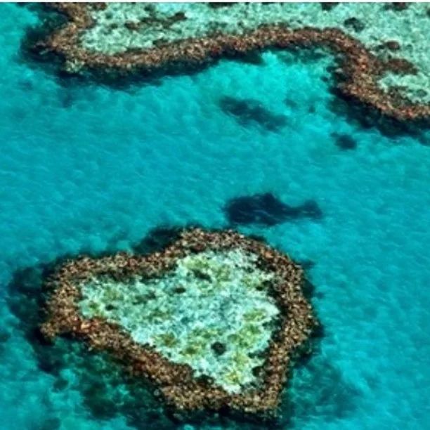 It is time for action    Will we act soon enough??
.
.
#repost from @earthdotcom news, visit their site and read the article on a Call to Action to protect our oceans and our future.
.
.
#climatestability
#blueconcerns
#sustainableeconomy
#mindfulliving
#impactbrands
#missiondriven
#giveashit
#protectthefuture
#seaanewway
#blueeconomy
#amaseabeautypartner
#pharmersea
@amaseabeautysb 
@ama_antoinette