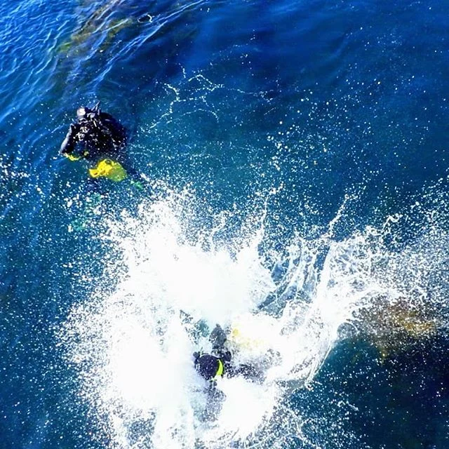 Scuba life .
.
.
#anacapaisland 
#scubalife
#thalassolife
#pharmersea