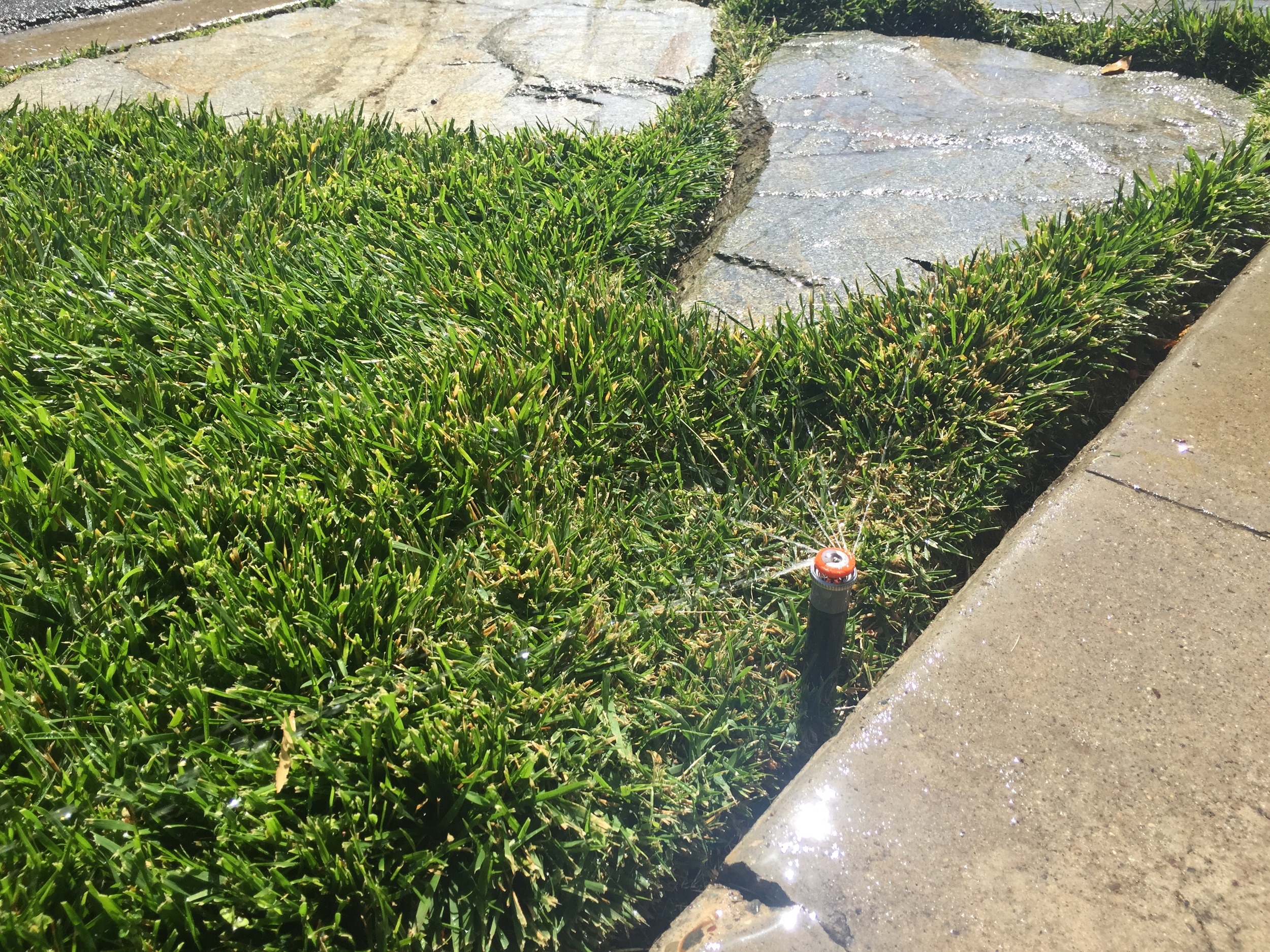 File Dec 01, 6 06 32 PM.jpeg