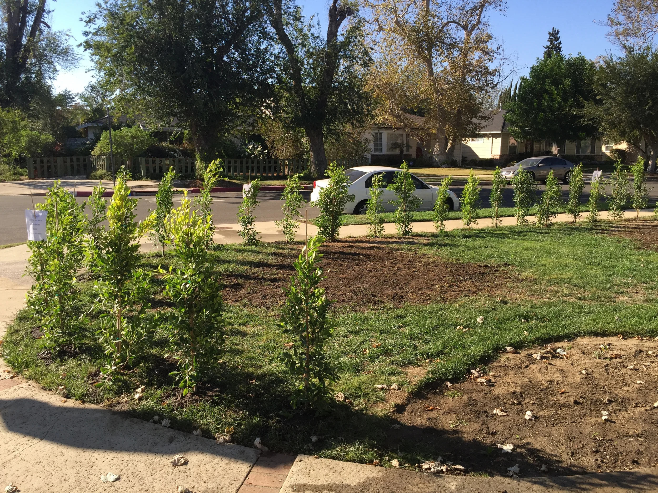 File Dec 01, 6 04 14 PM.jpeg