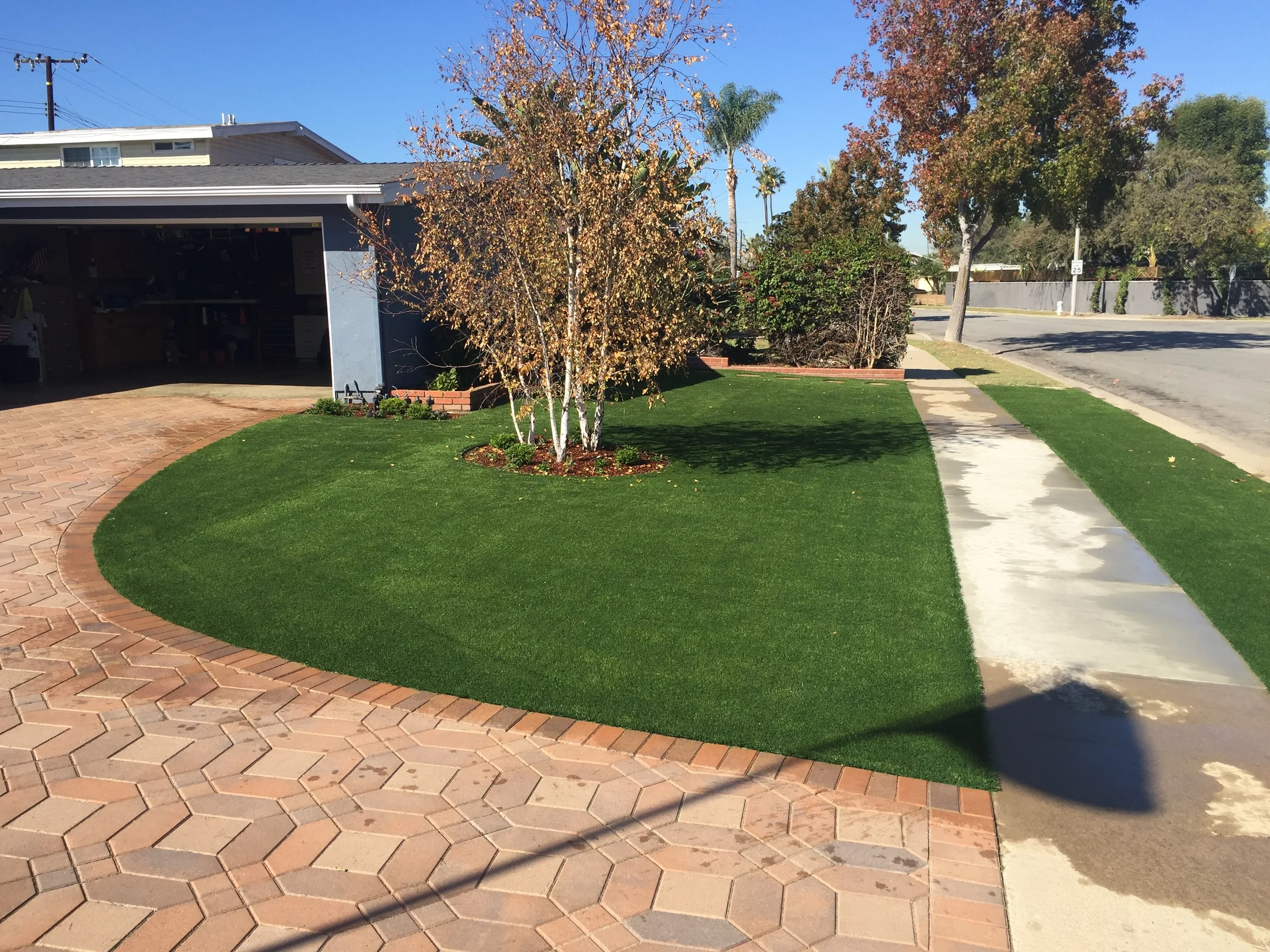 File Dec 01, 6 28 23 PM.jpeg