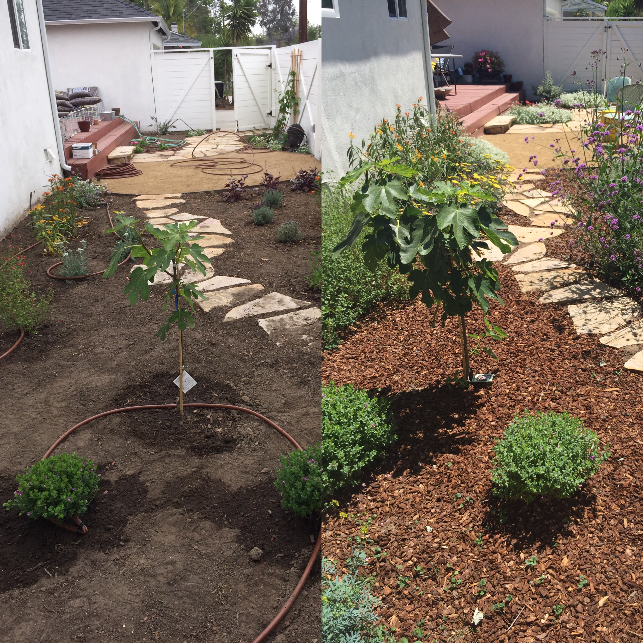 File Dec 01, 6 18 29 PM.jpeg