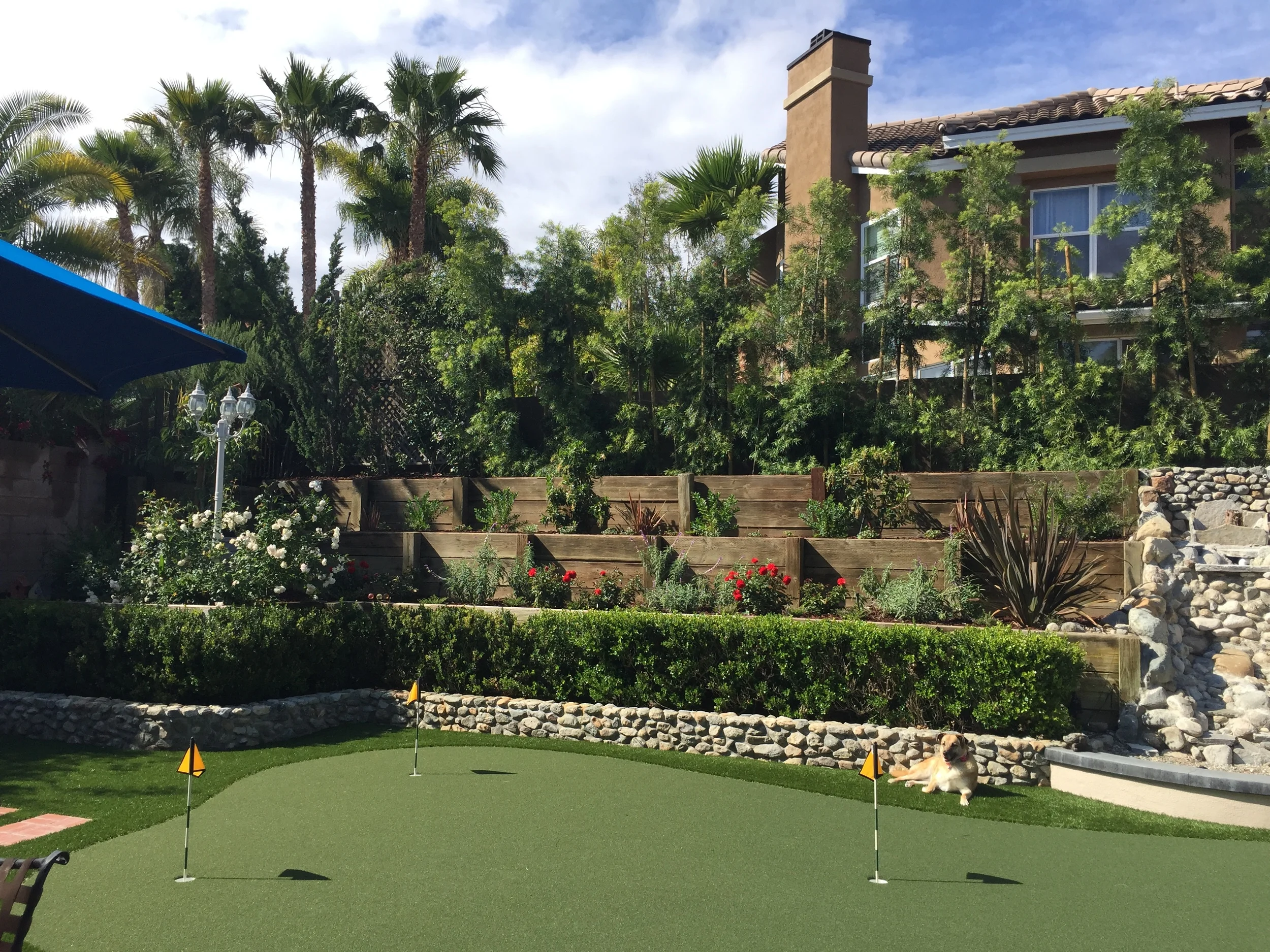 File Dec 15, 10 05 40 PM.jpeg