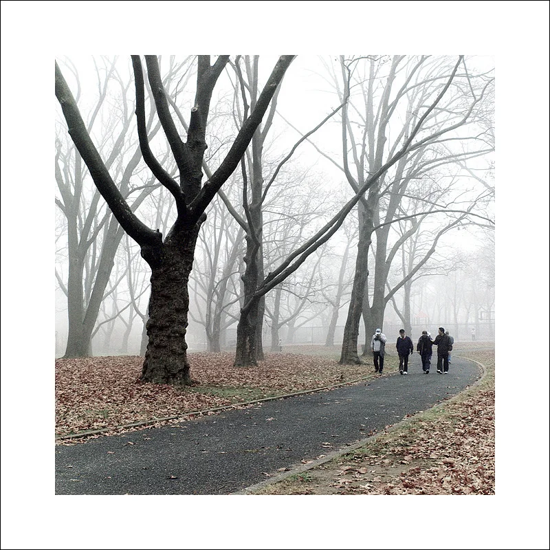 Morning walk in autumn by Yeong Shin. Image Copyright © Yeong Shin. Used with permission.