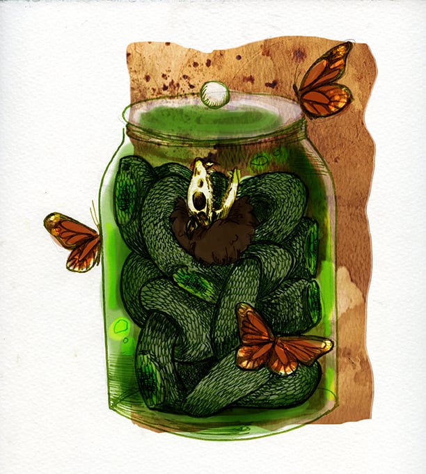 Pilosus Collum serpentis