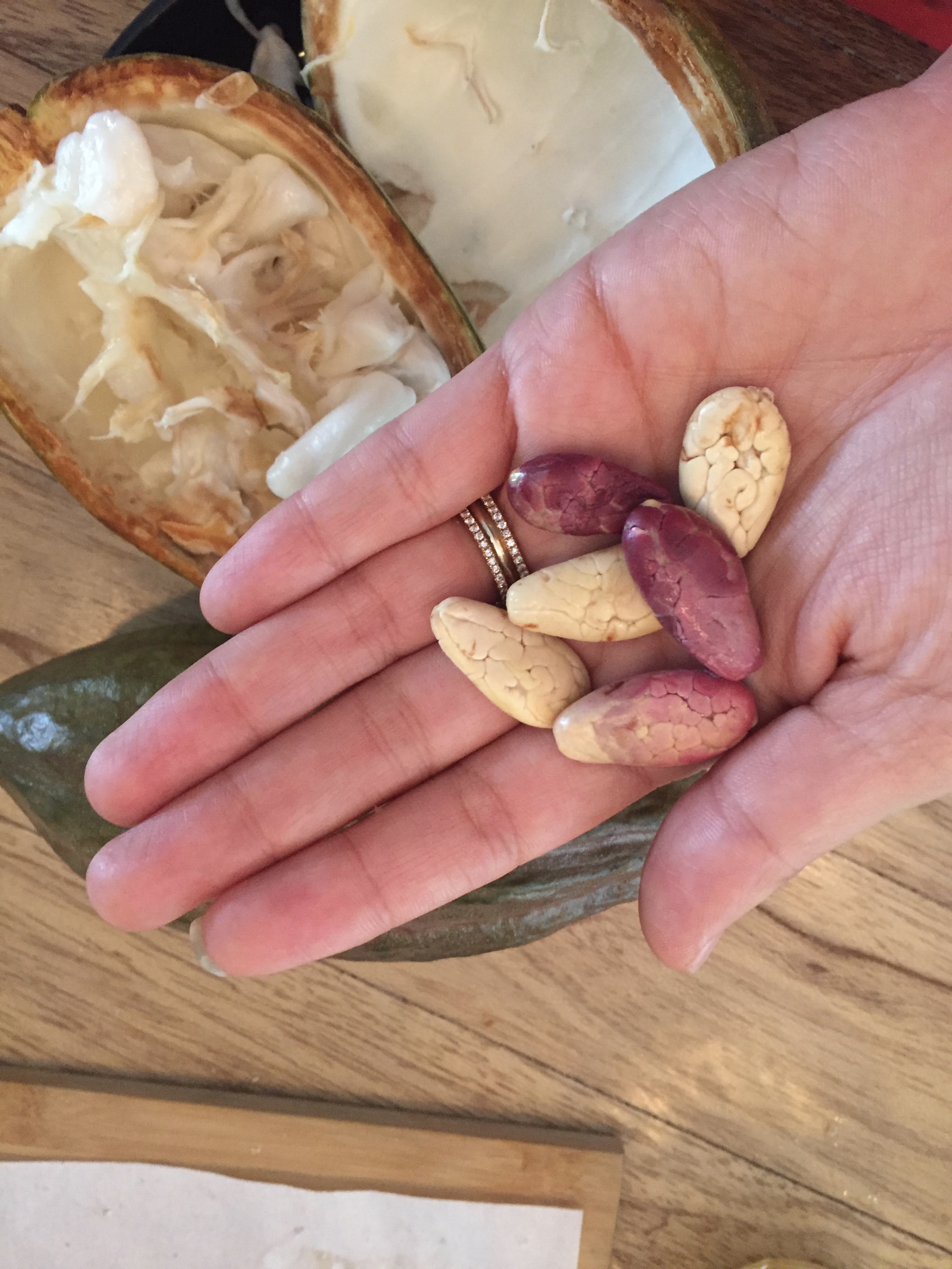 Apparently white cacao seeds are quite rare, however I lucked upon seed after seed ~ although we were obviously lucky to be eating chocolate all afternoon anyways!