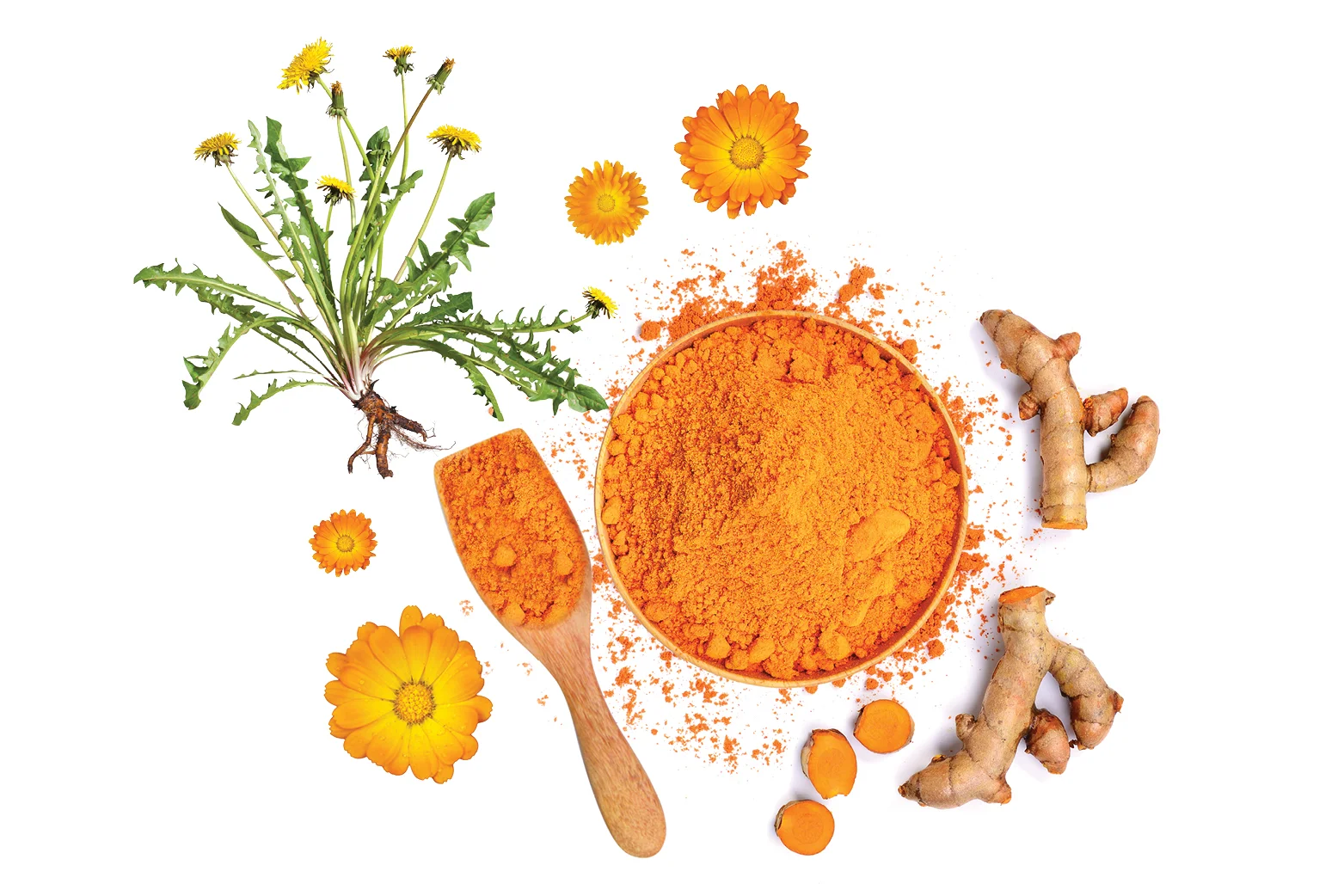 An orange powder in a bowl and wooden spoon arranged out on a white background surrounded by ginger and flowers 